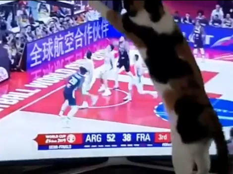 El gato que ayudaba a defender a la Argentina en cada ataque de Francia