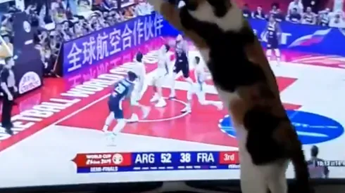 El gato que ayudaba a defender a la Argentina en cada ataque de Francia