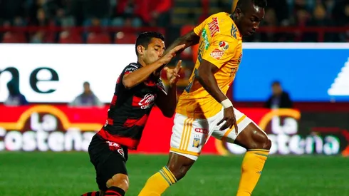Xolos vs. Tigres (Foto: Jam Media)