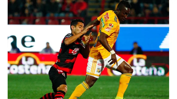 Xolos vs. Tigres (Foto: Jam Media)