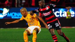 Xolos vs. Tigres (Foto: Jam Media)