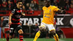 Xolos vs. Tigres (Foto: Jam Media)
