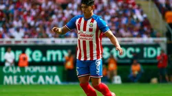 Alan Pulido, Chivas (Foto: Jam Media)