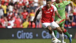 VER EN VIVO: Junior vs. Independiente Santa Fe por la Liga Águila