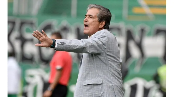Jorge Luis Pinto, DT de Millonarios.