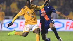 Puebla vs Tigres UANL (Foto: Jam Media)
