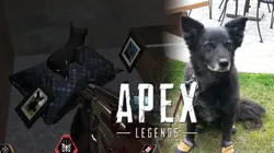 La increíble razón por la cual hay perritos en Apex Legends