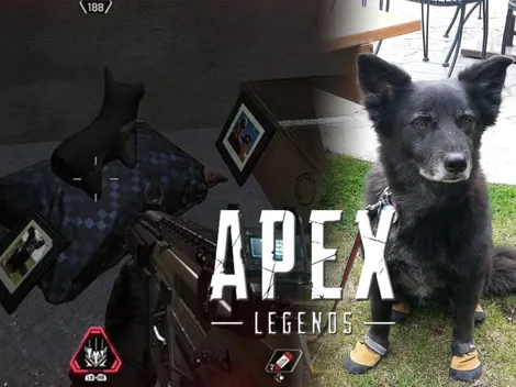 La increíble razón por la cual hay perritos en Apex Legends