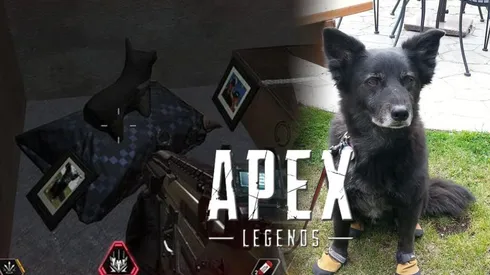 La increíble razón por la cual hay perritos en Apex Legends