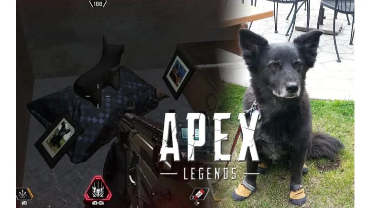 La increíble razón por la cual hay perritos en Apex Legends