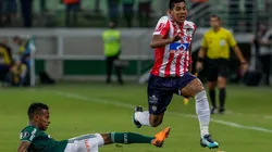 Junior vs Palmeiras por la Copa Libertadores.