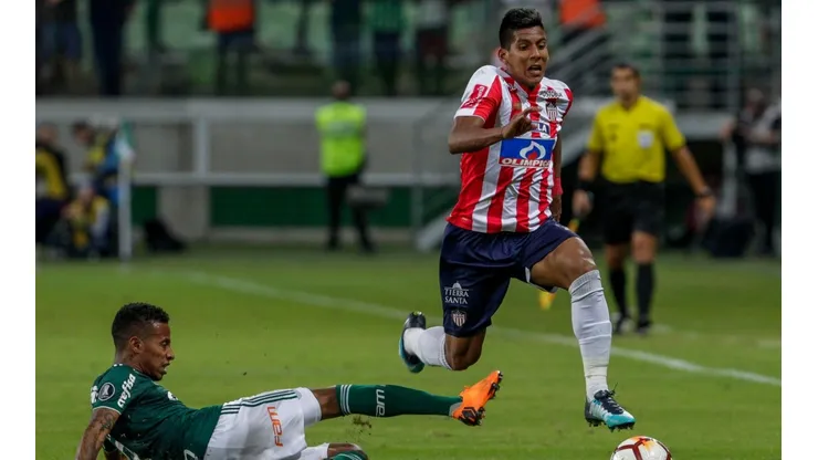 Junior vs Palmeiras por la Copa Libertadores.