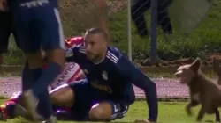 Fue directo: Vivas tuvo en cuenta al perro que corría junto a los jugadores pero lo descartó en la expulsión