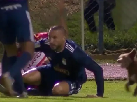 Fue directo: Vivas tuvo en cuenta al perro que corría junto a los jugadores pero lo descartó en la expulsión