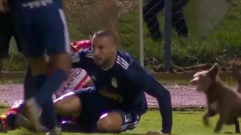 Fue directo: Vivas tuvo en cuenta al perro que corría junto a los jugadores pero lo descartó en la expulsión