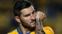 Ya está aquí, amigos: Tigres hizo oficial su tercer uniforme