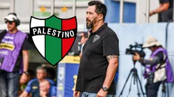 El jugador de Palestino que 'Vitamina' buscaría para Liga de Quito