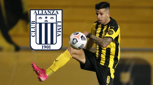 Pablo Ceppelini llega a Alianza Lima como refuerzo para la temporada 2025. (Getty Images)