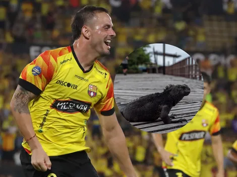 Revelan que a Octavio Rivero no le gustan la iguanas en Guayaquil y el delantero responde