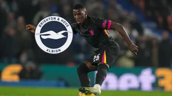 El terrible recibimiento de los hinchas del Brighton a Moisés Caicedo