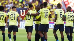 Los jugadores de Liga, que serán "sparrings"