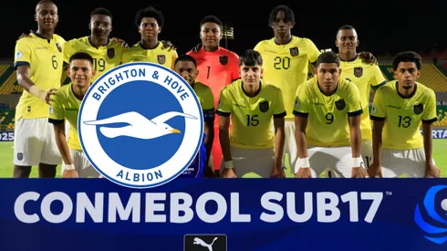 El Brighton de Inglaterra otra vez quiere fichar a Seleccionados de Ecuador.