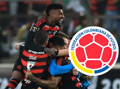 Flamengo pagará más de 30 millones por dos seleccionados de Colombia