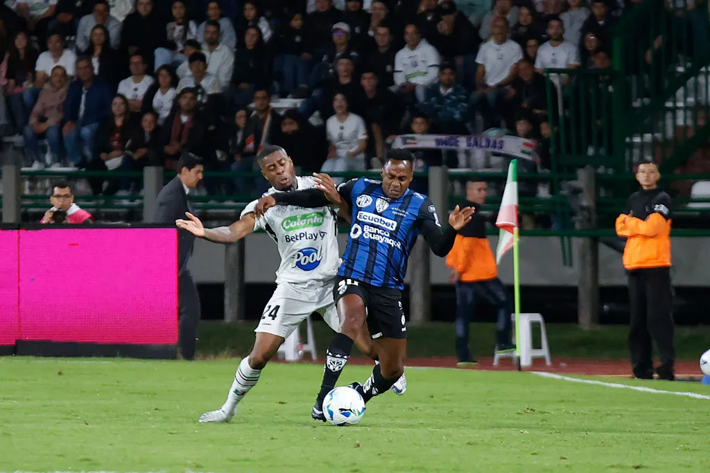 Renato Ibarra – IDV