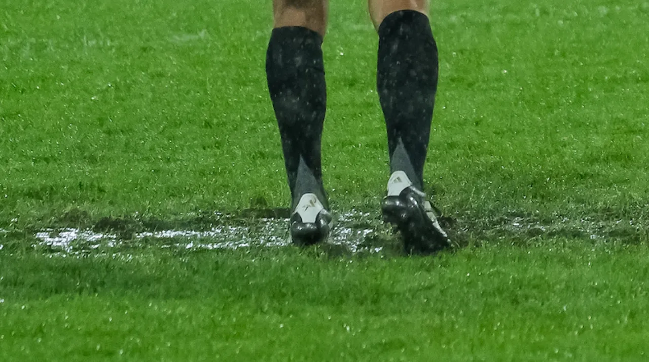 Así está la cancha de El Campín. (Foto: Vizzor Image)