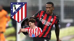 Los millones que ganaría Pervis Estupiñán en el Atlético de Madrid Foto: Getty