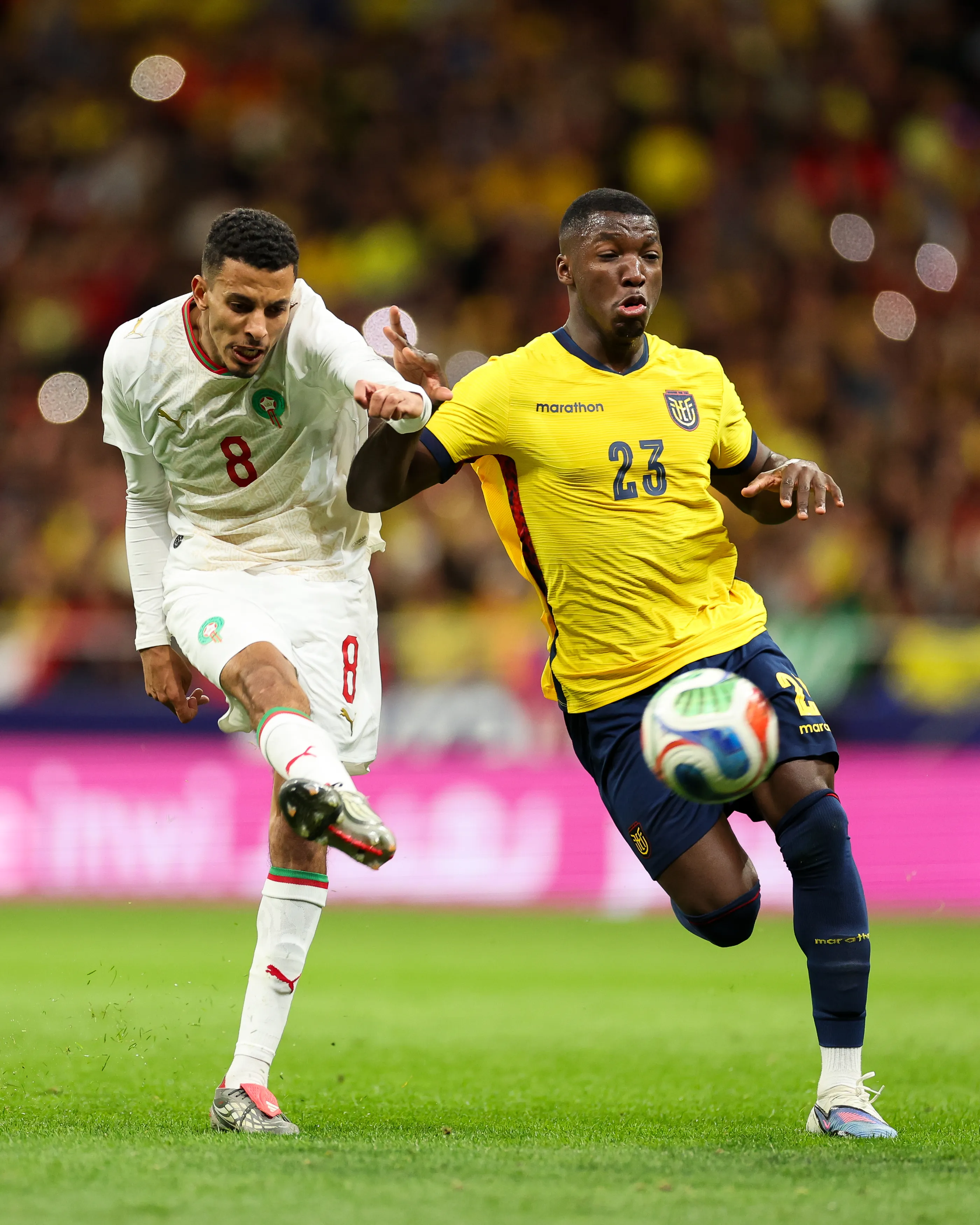 Moisés Caicedo es titular indiscutible en Ecuador. (Foto: GettyImages)
