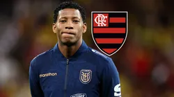 Flamengo ya eligió al reemplazo de Gonzalo Plata