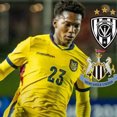 Desde Newcastle aclaran cuál será el futuro de Johan Martínez tras ficharlo