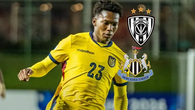 Desde Newcastle aclaran donde jugará Johan Martínez los siguientes años