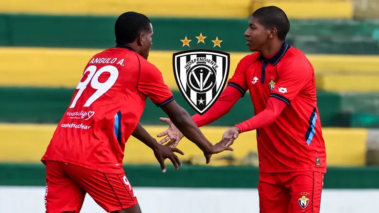 Así ayudaría IDV a El Nacional