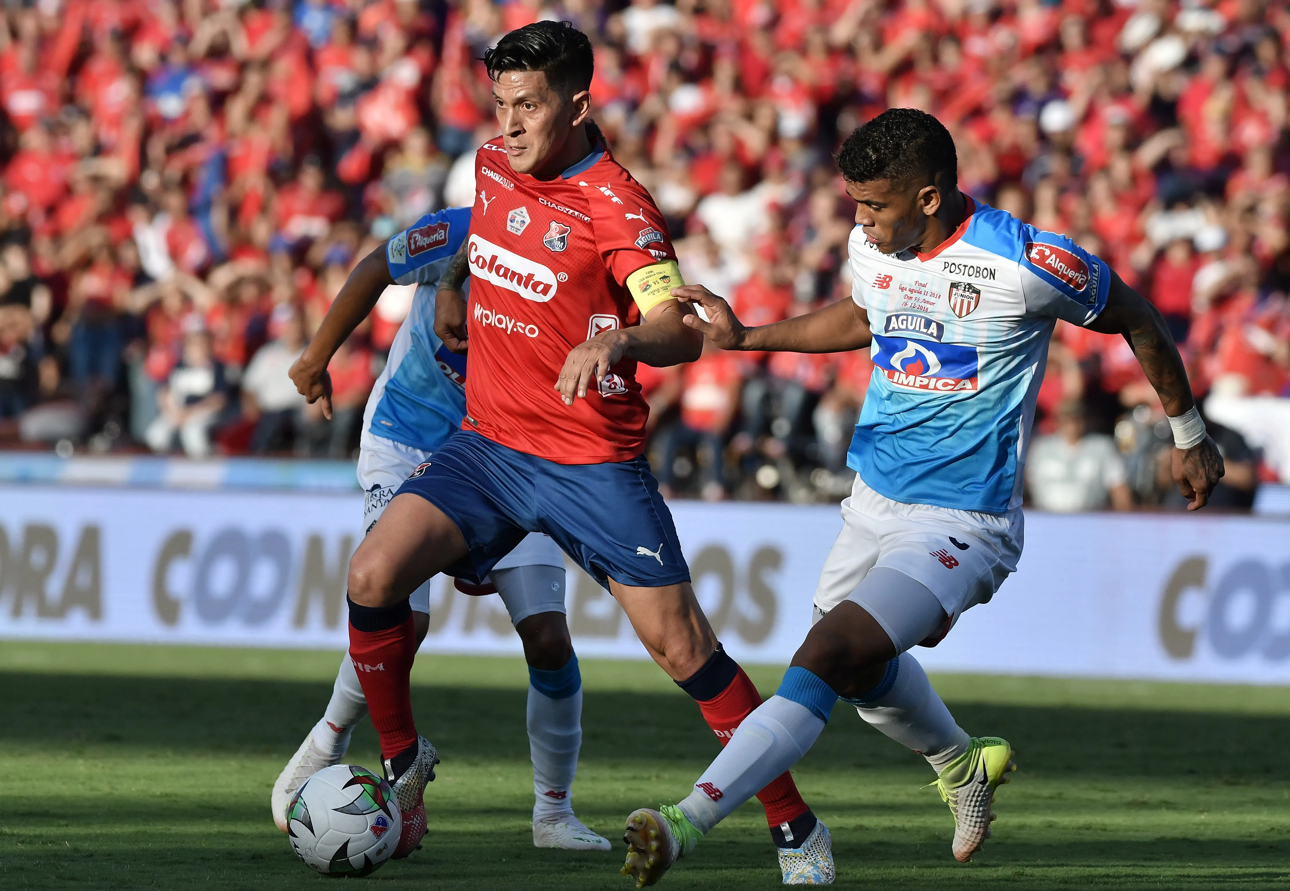 Germán Cano – DIM 2019.