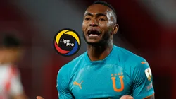 El nuevo equipo en Ecuador de Pedro Pablo Perlaza