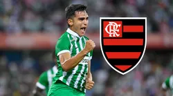 La fortuna que podría pagar el Flamengo por Juan Manuel Rengifo