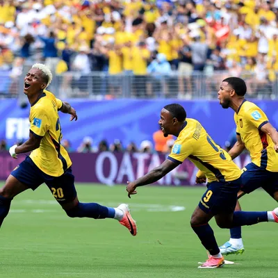 DT Mundialista se ofrece a dirigir a la Selección de Ecuador tras salida de Beccacece