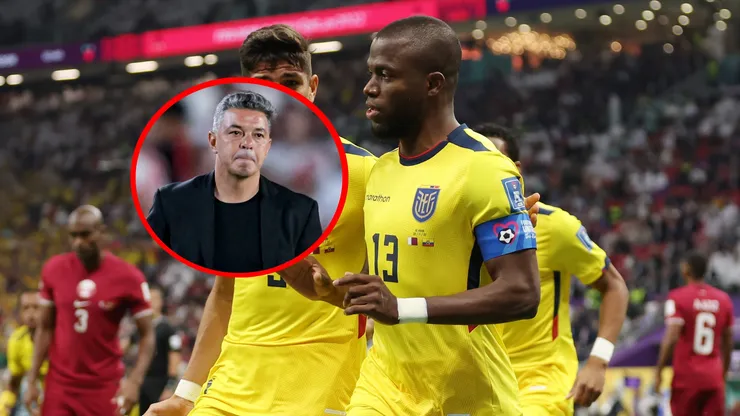 Mientras Enner Valencia renunció a la Selección, el nuevo delantero que analiza Marcelo Gallardo para Ecuador