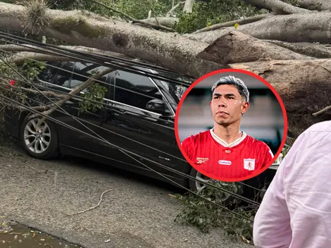 Hernández sufre grave accidente: un árbol le cayó al carro que manejaba