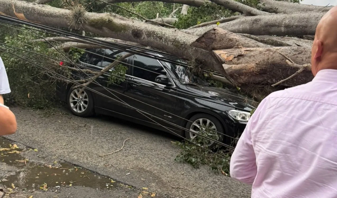 El accidente de Nicolás Hernández. (Foto: X)