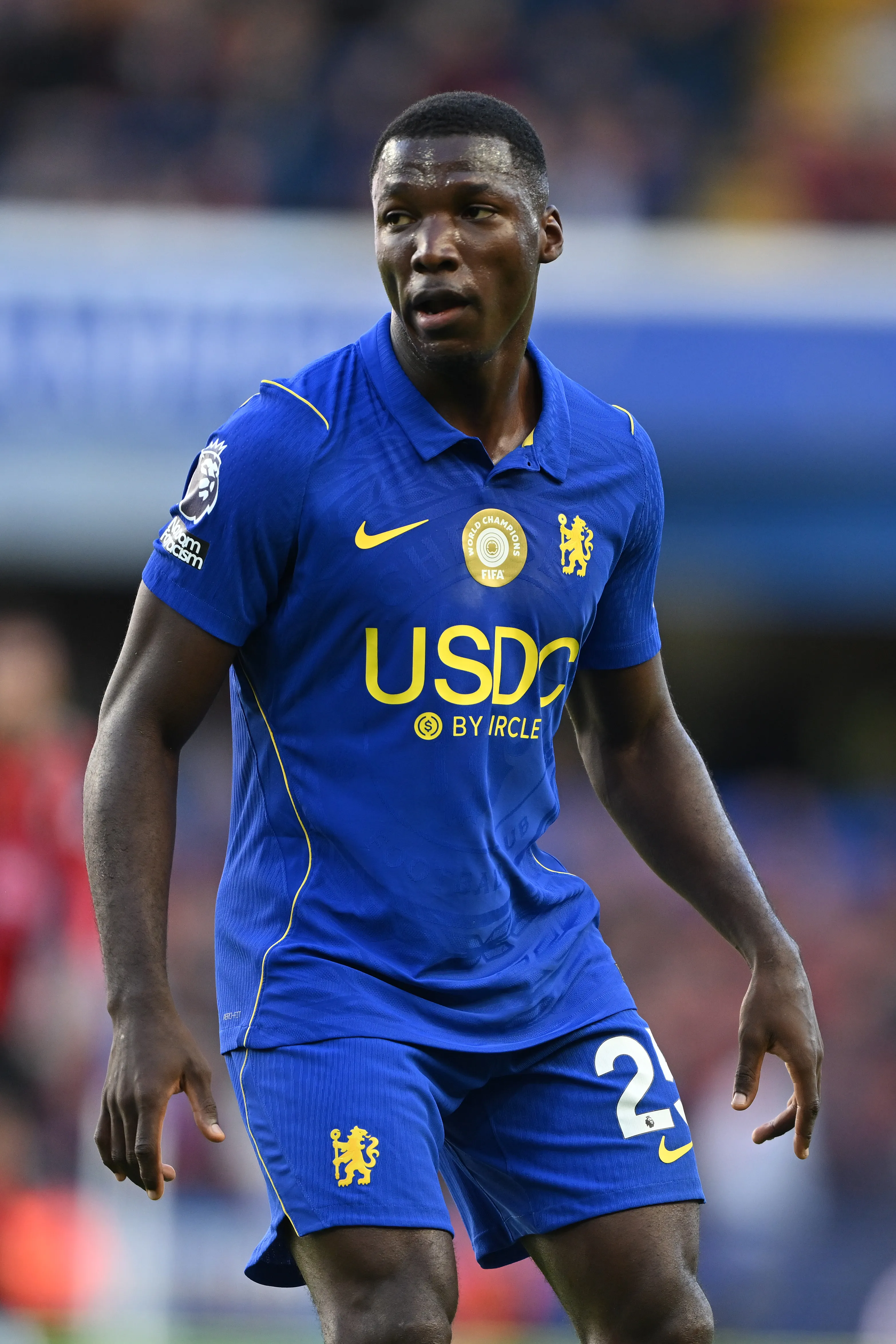 Moisés Caicedo ya se recuperó en Chelsea. (Foto: GettyImages)