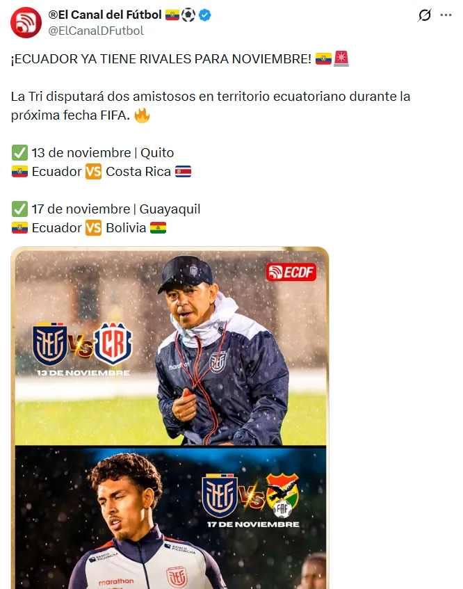 Así serían los partidos amistosos de Ecuador. (Captura de pantalla)