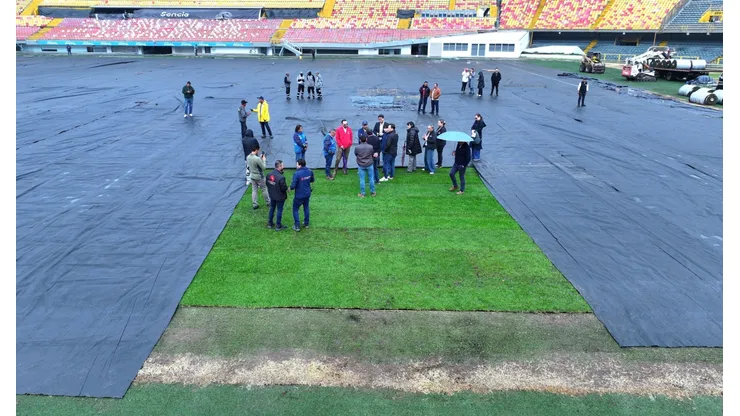 El estado de la cancha de El Campín.