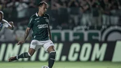 GO - GOIANIA - 31/05/2023 - COPA VERDE 2023, GOIAS X PAYSANDU -Vinicius jogador do Goias comemora seu gol com jogadores do seu time durante partida contra o Paysandu no estadio Serrinha pelo campeonato Copa Verde 2023. Foto: Heber Gomes/AGIF