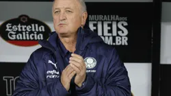 Foto: Daniel Vorley/AGIF - Ídolo do Palmeiras ganhou holofotes nesta segunda-feira (29).