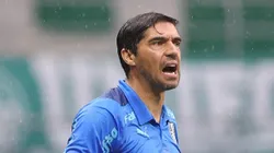 Foto: Cesar Greco/Palmeiras - Abel Ferreira vence mais uma no Palmeiras