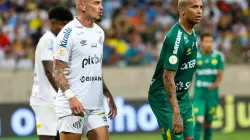 Foto: AssCom Dourado