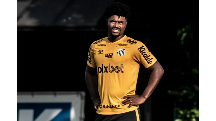 Situação de Bauermann tem reviravolta de última hora e cai como uma bomba no Santos